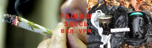 прущие крисы Алзамай