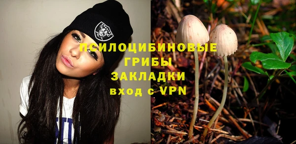 молекула духа Абинск