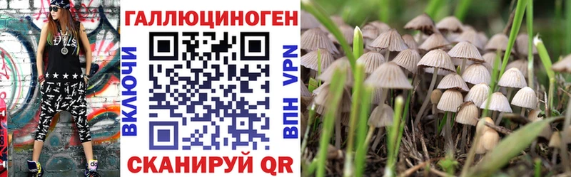Псилоцибиновые грибы Psilocybine cubensis  закладка  Богучар 